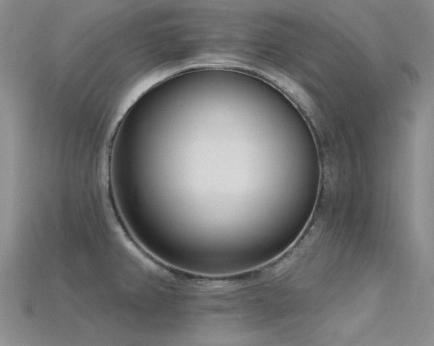 X0000115831382200911131456