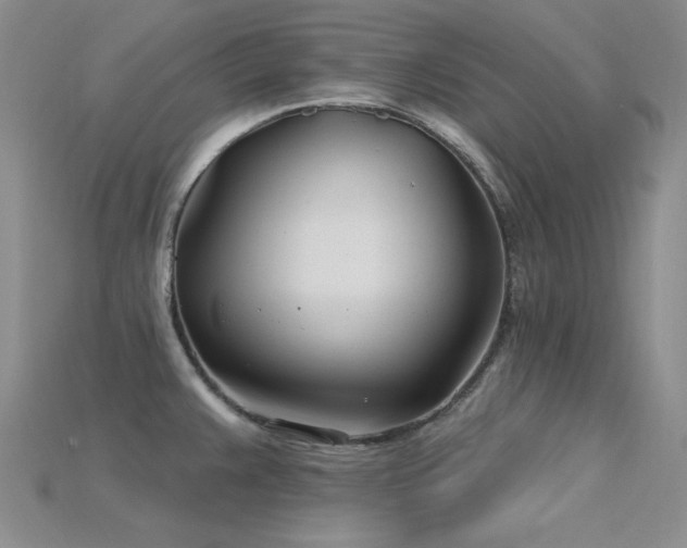 X0000115831383200911131456