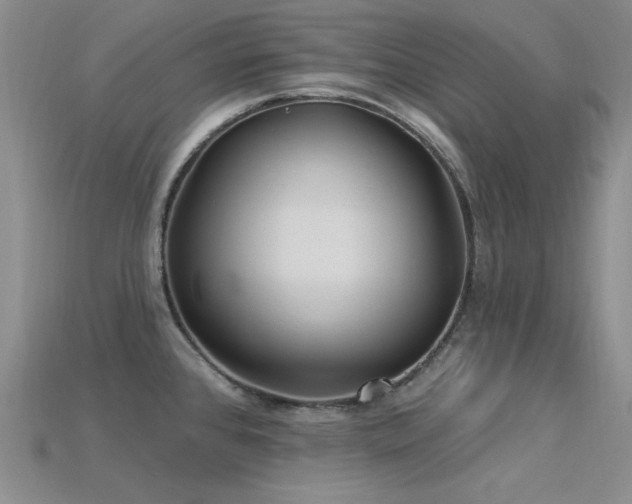 X0000115831384200911131456