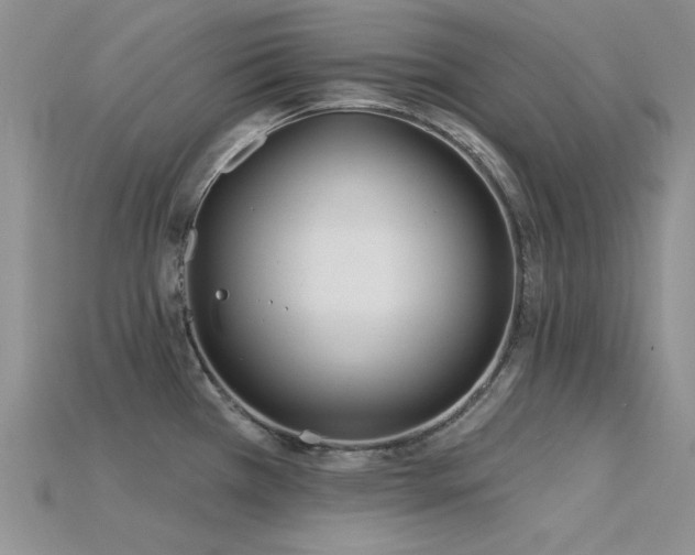 X0000115831385200911131456