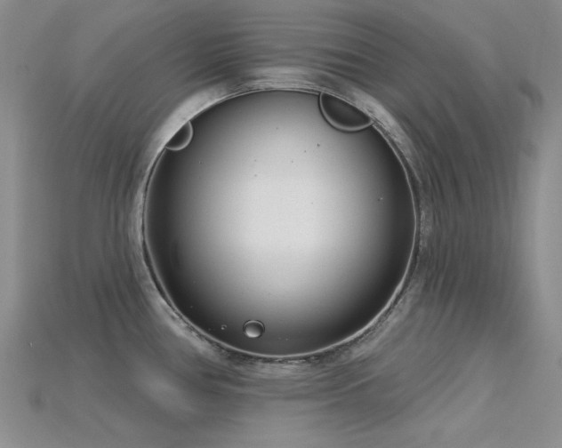 X0000115831386200911131456