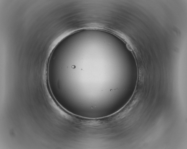 X0000115831387200911131456