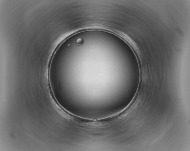 X0000115831388200911131456