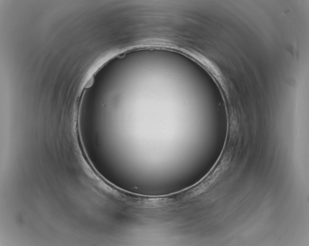 X0000115831390200911131456