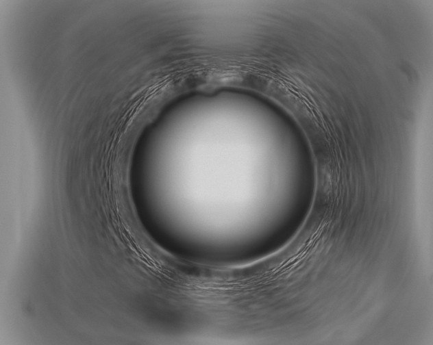 X0000115831393200911131456