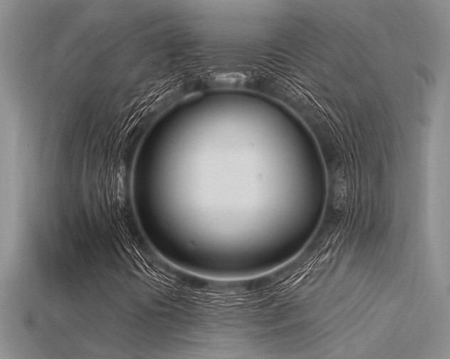 X0000115831394200911131456