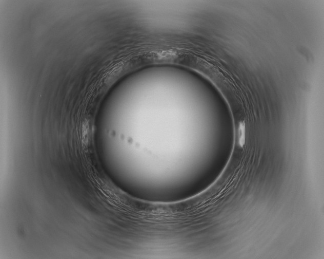 X0000115831395200911131456