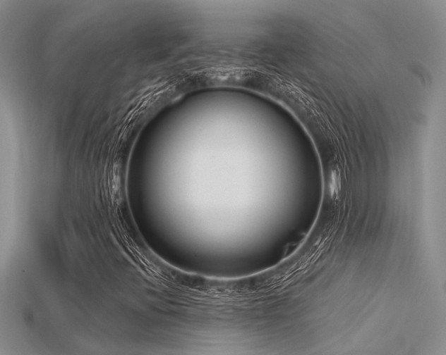 X0000115831396200911131456