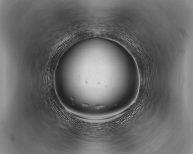 X0000115831398200911131456