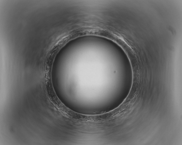 X0000115831399200911131456