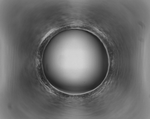 X0000115831400200911131456