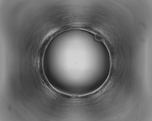 X0000115831402200911131456