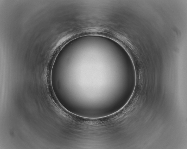 X0000115831404200911131456