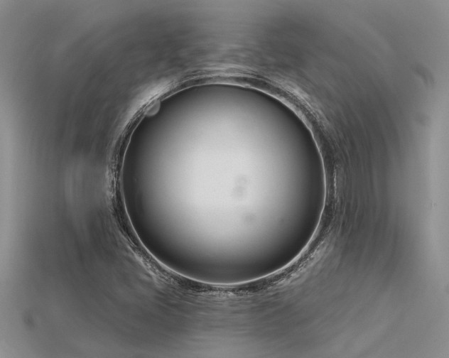 X0000115831405200911131456