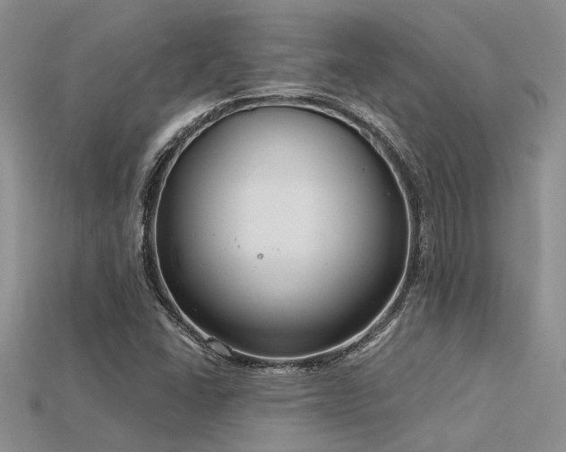 X0000115831406200911131456