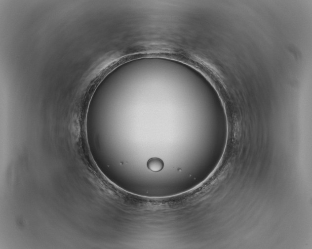 X0000115831407200911131456