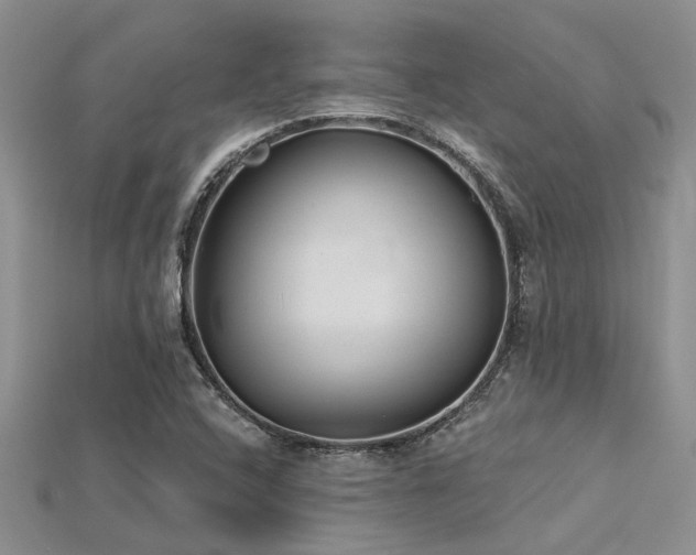 X0000115831408200911131456