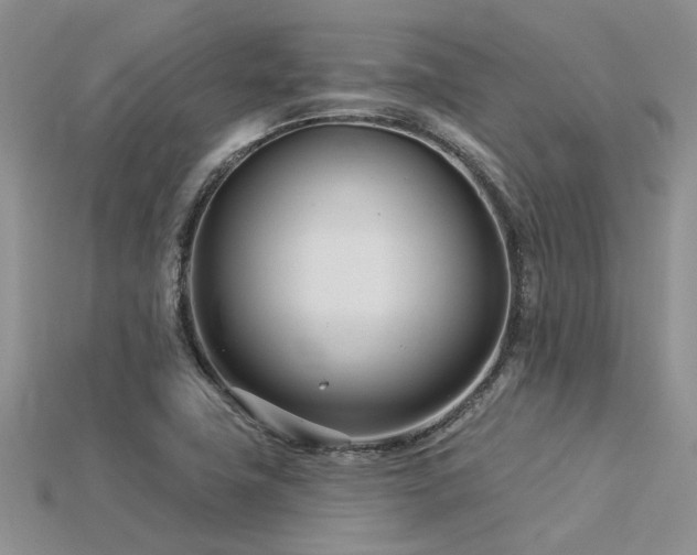 X0000115831411200911131456