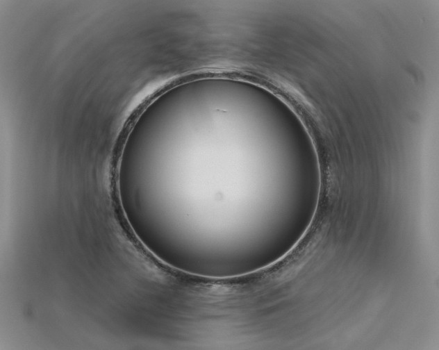 X0000115831412200911131456