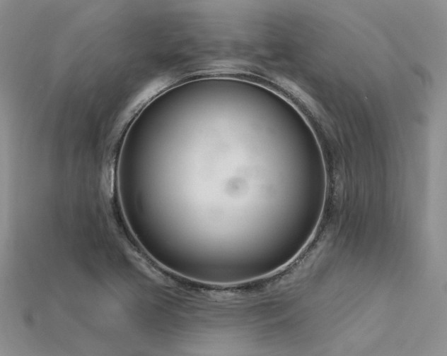 X0000115831413200911131456