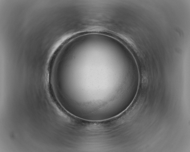 X0000115831414200911131456