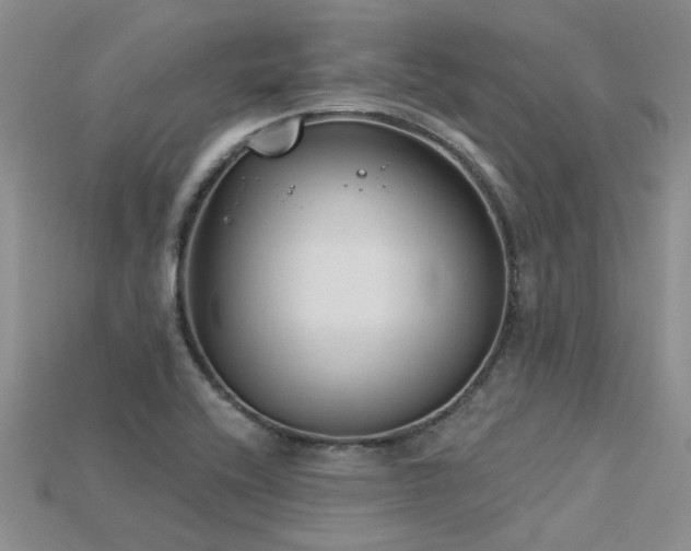 X0000115831416200911131456