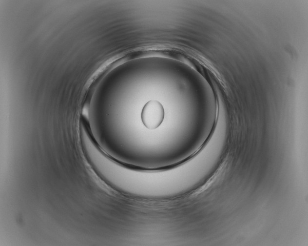 X0000115831417200911131456