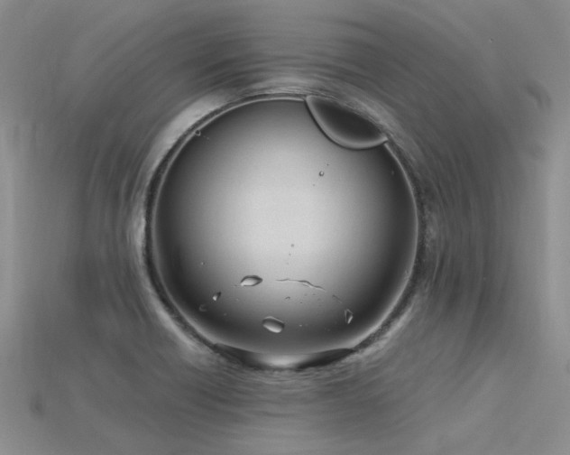 X0000115831418200911131456