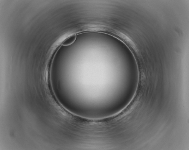 X0000115831419200911131456