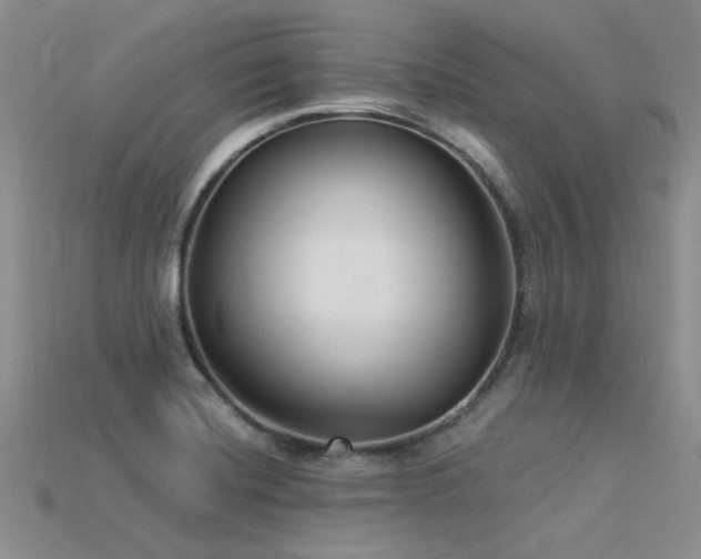 X0000115831420200911131456