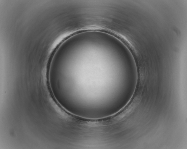 X0000115831422200911131456