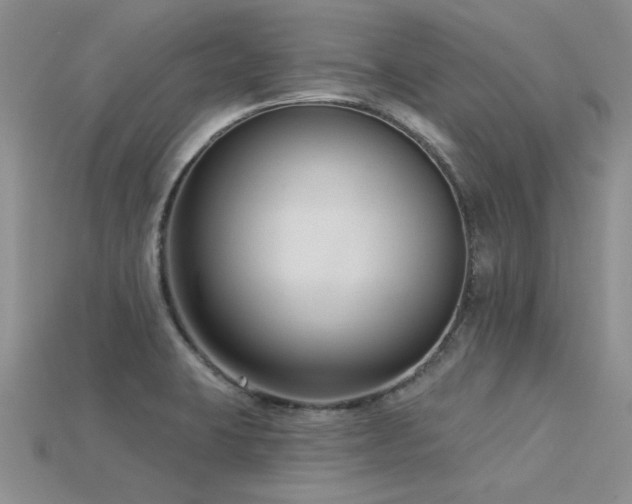 X0000115831423200911131456