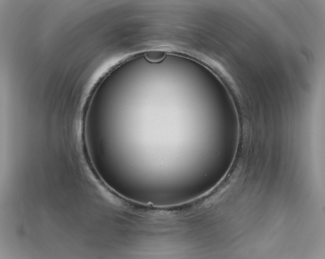 X0000115831424200911131456