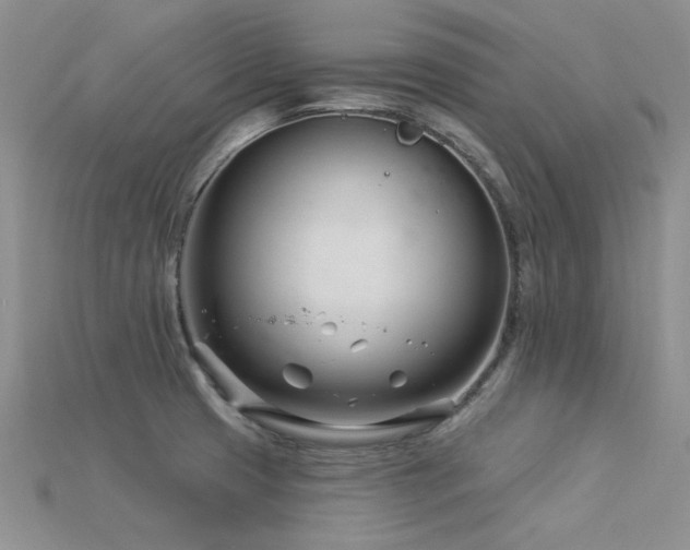 X0000115831425200911131456