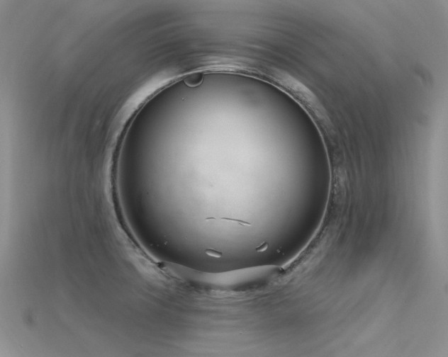 X0000115831427200911131456