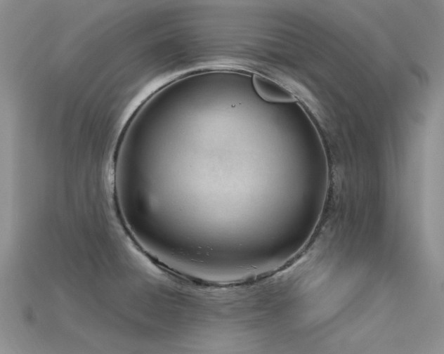 X0000115831428200911131456