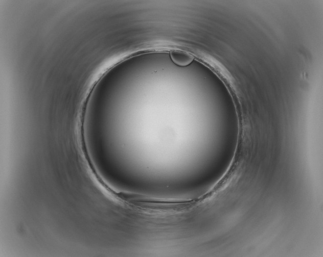 X0000115831429200911131456