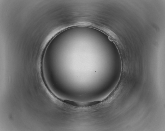 X0000115831430200911131456