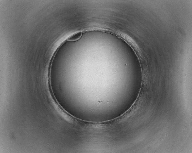 X0000115831431200911131456