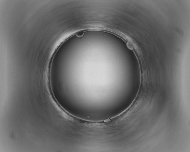 X0000115831432200911131456