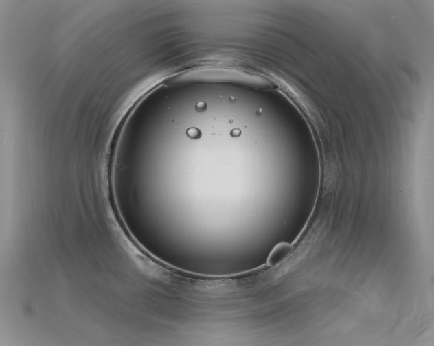 X0000115831434200911131456