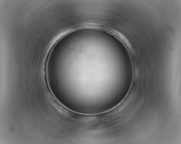 X0000115831435200911131456