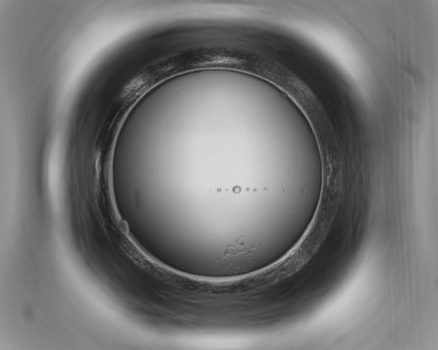 X0000115831439200911131456