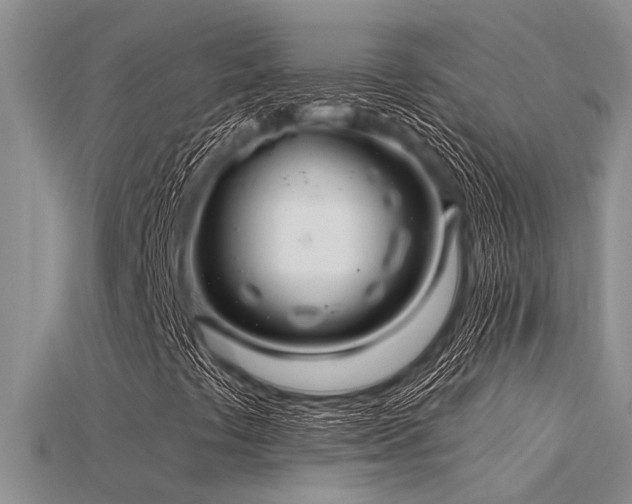 X0000115831441200911131455