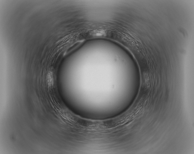 X0000115831442200911131455