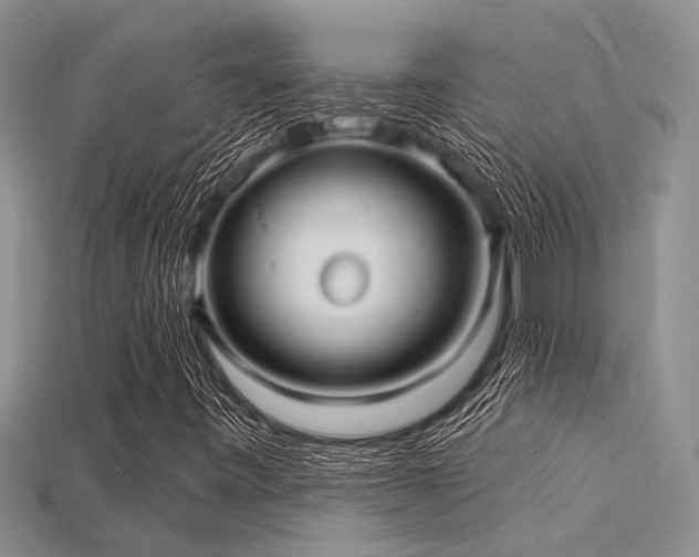 X0000115831443200911131455