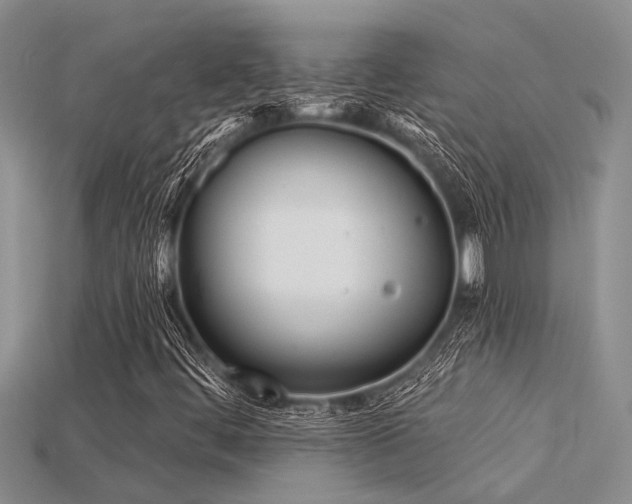 X0000115831444200911131455