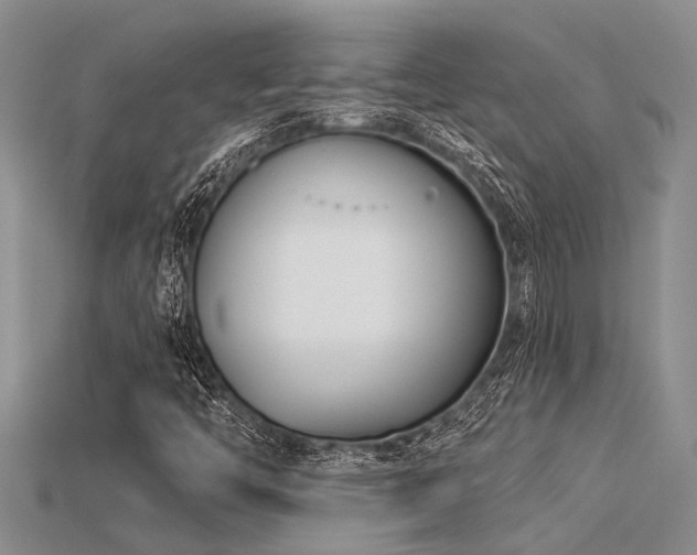 X0000115831446200911131455