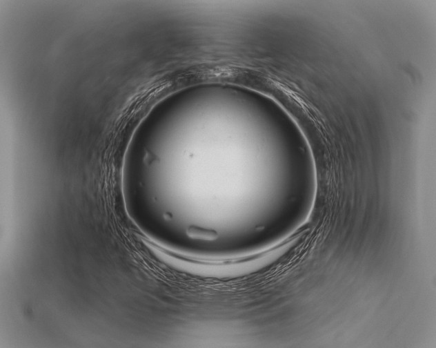 X0000115831447200911131455