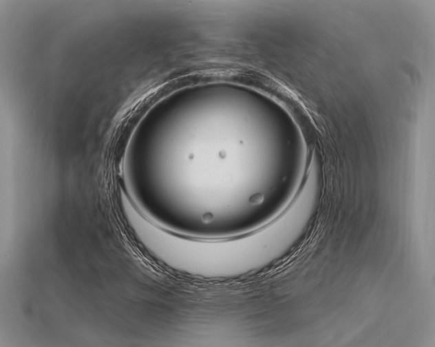 X0000115831448200911131455